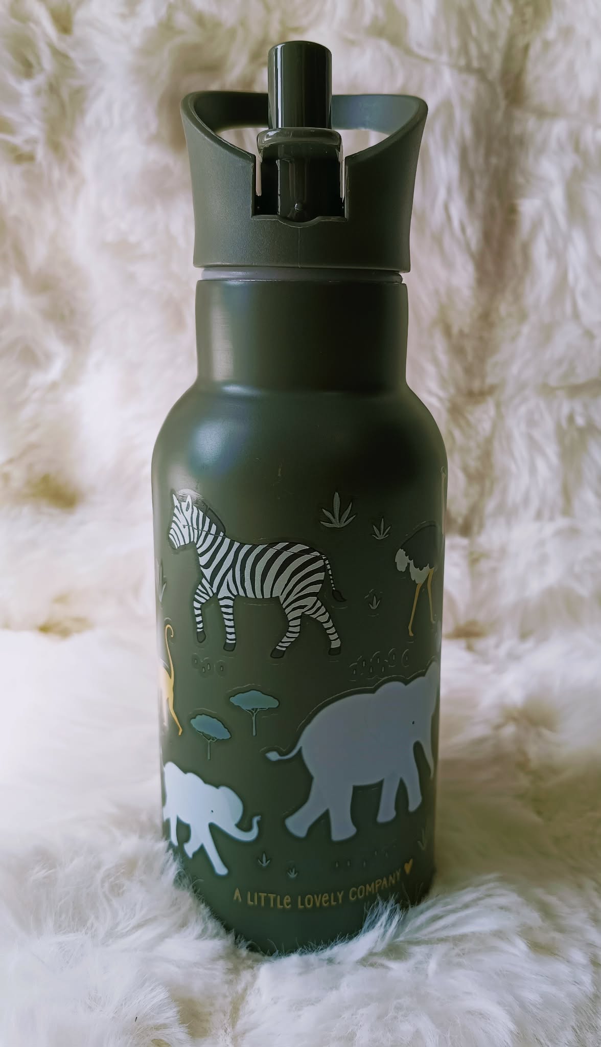 Gourde isotherme savane